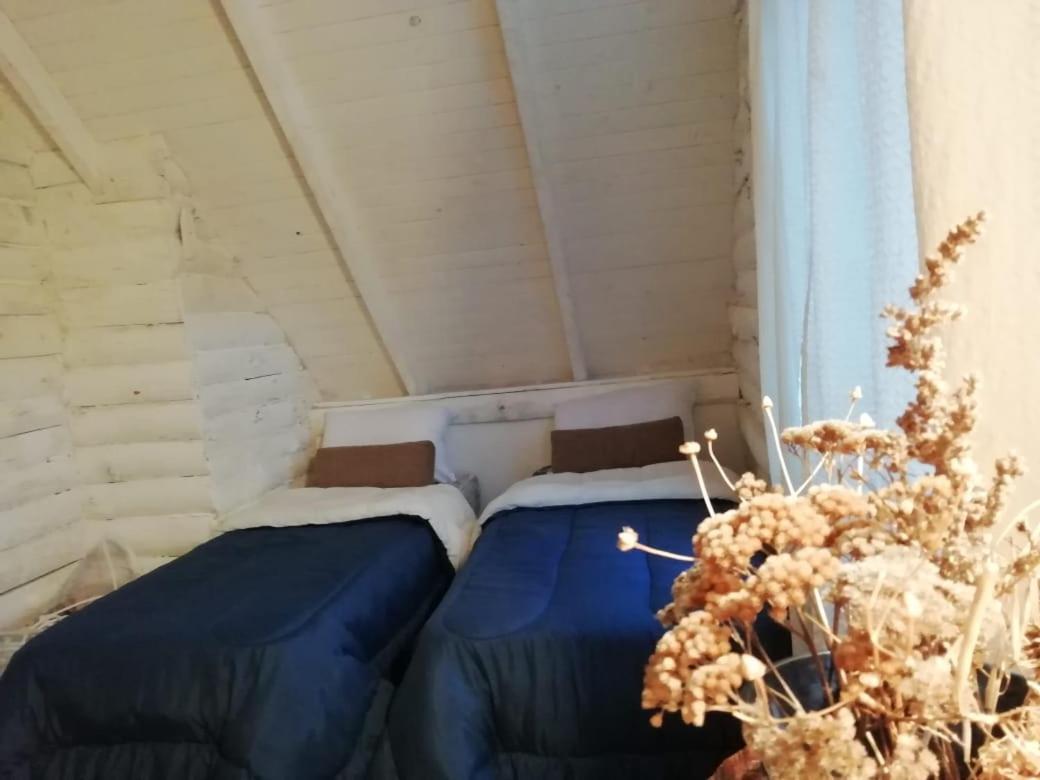 Cabana Azul Trevelín エクステリア 写真